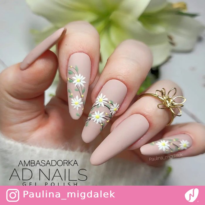 Daisies on Matte Nails